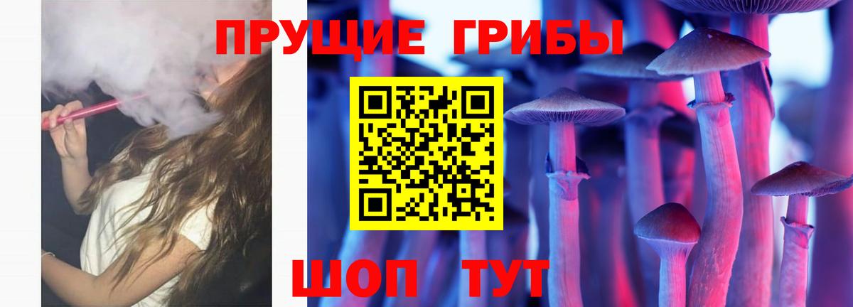 Узловая  Псилоцибиновые грибы мухоморы  Вход с VPN  Псилоцибиновые грибы прущие грибы 